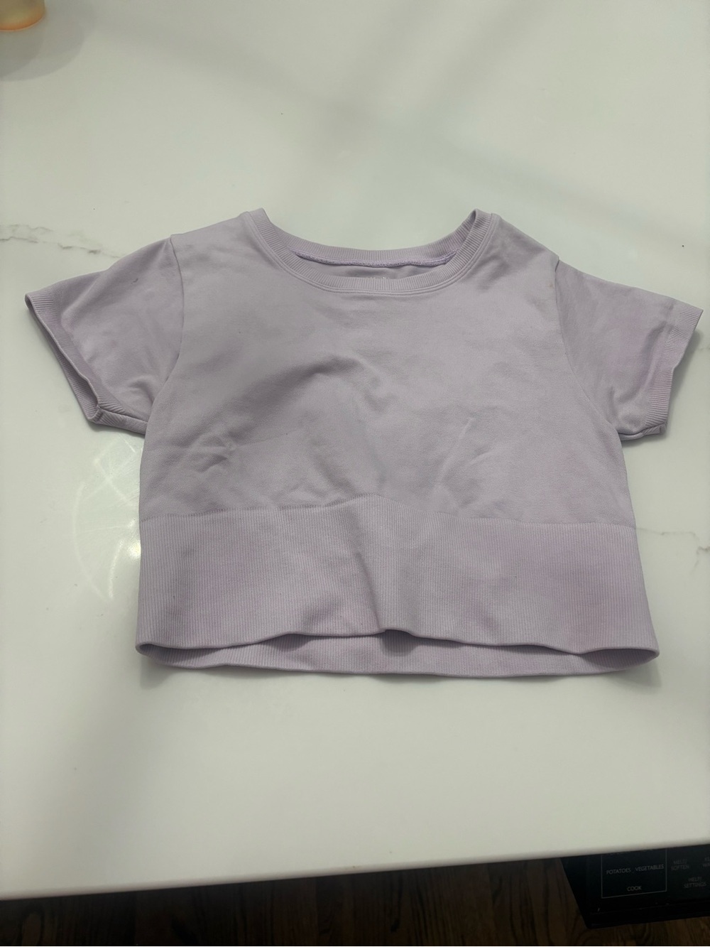 aerie Lilac Short-Sleeve Crop Top size small